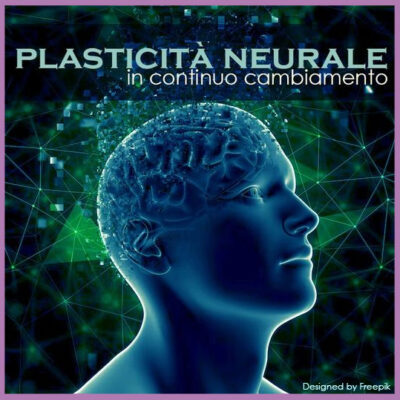 articolo plasticità2